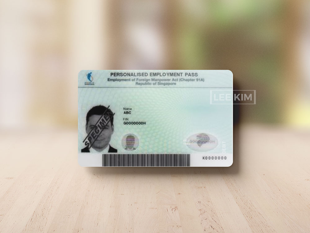 Personalised Employment Pass 1